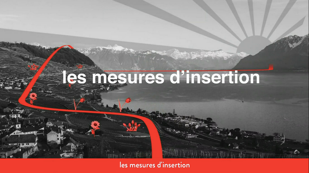 Des milliers de vues pour notre campagne vidéo sur l’insertion